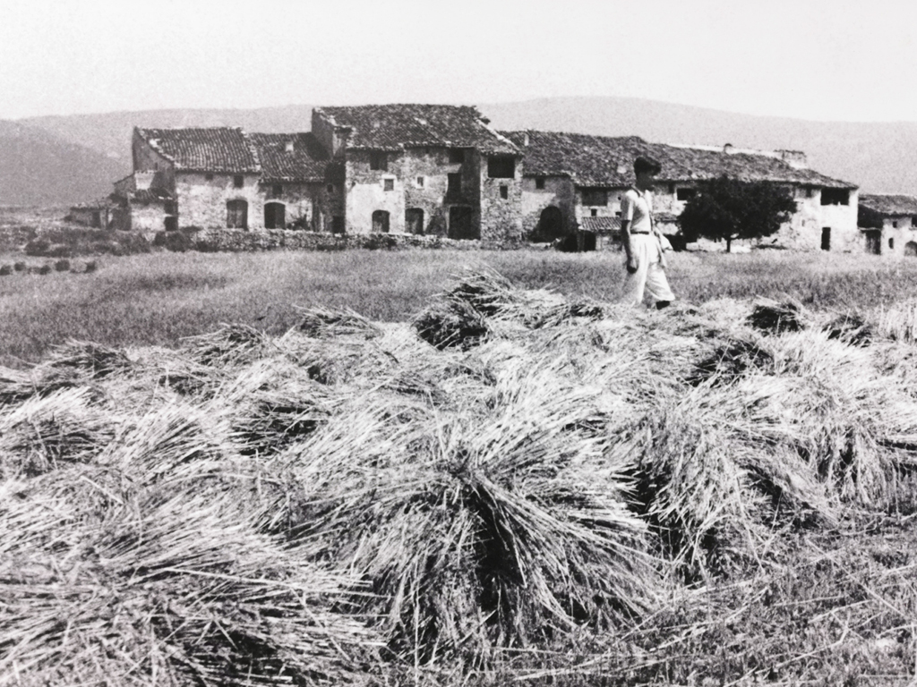 Tornar a l’essència i l’arquitectura d’imapcte casi nulper NUA arquitectures