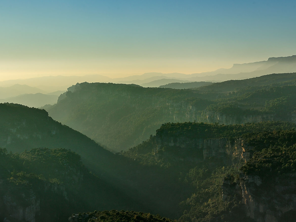 La Gestió Forestal a Catalunya  Taula amb Gemma Roca ( Tècnica Forestal Consorci de l’EIN Serra Llaberia), Laureà Giné Benaiges  (Cap de l’Oficina d’Acció i Avaluació Ambiental  Serveis Territorials a Tarragona), Ricard Farriol  (Centre de la Propietat Forestal) i Andreu  Palacios (Grup d’Actuació Forestal – GRAF)