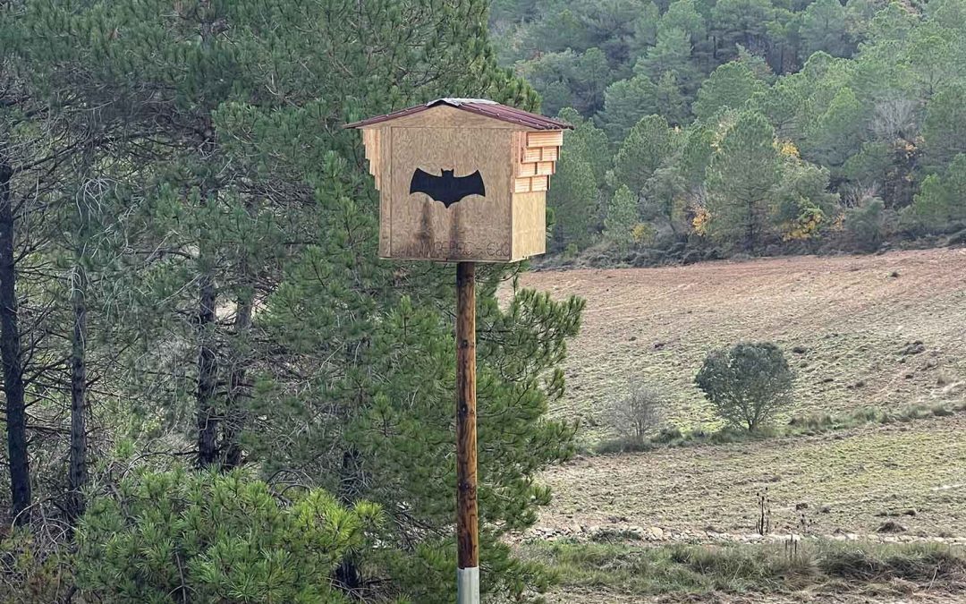 La Generalitat de Catalunya i el Fons europeu FEADER subvencionen millores per protegir i augmentar la biodiversitat a l’entorn de Gallicant